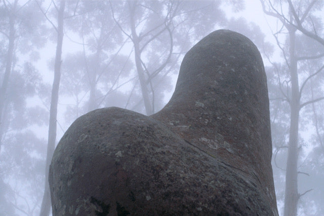 'Totem Rock' Yuin Country