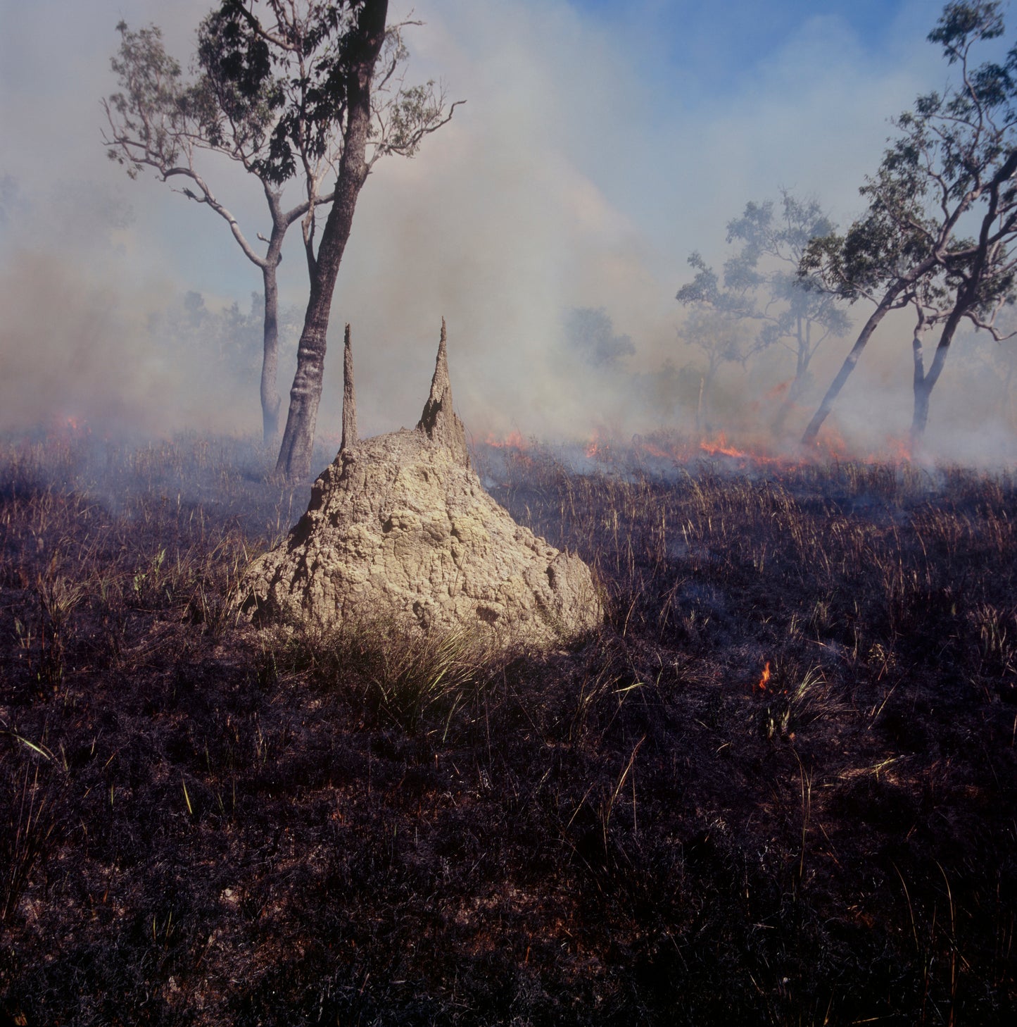 'Spirit Country, Cape York'